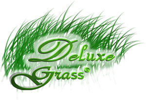 Insertar logotipo aquí
